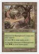 Havenwood Battleground #325