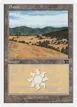 Plains #334