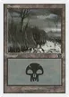 Swamp #341