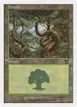 Forest #347