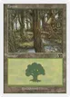 Forest #348