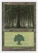 Forest #349