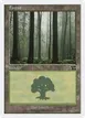 Forest #350