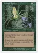Canopy Spider #234