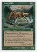 Gang of Elk #247