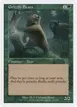 Grizzly Bears #251