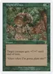 Might of Oaks #257