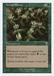 Vernal Bloom #281