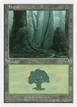 Forest #329