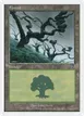 Forest #331
