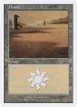 Plains #341