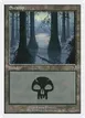 Swamp #348
