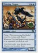 Thieving Magpie #107