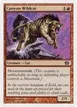 Canyon Wildcat #181