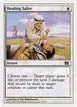Healing Salve #22