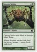 Canopy Spider #236