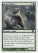 Grizzly Bears #256