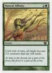 Natural Affinity #269