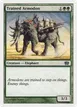Trained Armodon #284