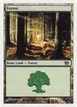 Forest #347