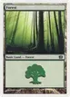 Forest #348