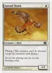 Suntail Hawk #51
