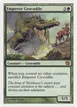 Emperor Crocodile #241