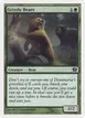 Grizzly Bears #246