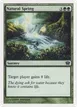 Natural Spring #257