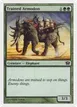 Trained Armodon #274