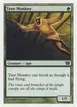 Tree Monkey #275