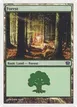 Forest #347