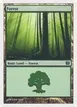 Forest #348
