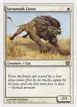 Savannah Lions #41