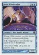 Aven Windreader #62