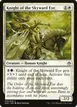 Knight of the Skyward Eye #19
