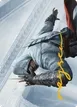 Altaïr Ibn-La'Ahad #15