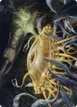 Flumph #12