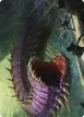 Purple Worm #3