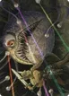 Hive of the Eye Tyrant #53