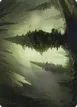 Forest #55