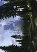 Forest #61