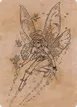 Pixie Guide #78