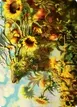 Beza, the Bounding Spring #1