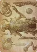 Foundry Inspector #59