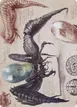 Psychosis Crawler #73
