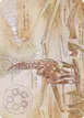 Ramos, Dragon Engine #74