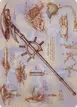 Staff of Domination #79