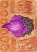 Thorn of Amethyst #80