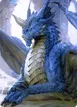 Young Blue Dragon #27